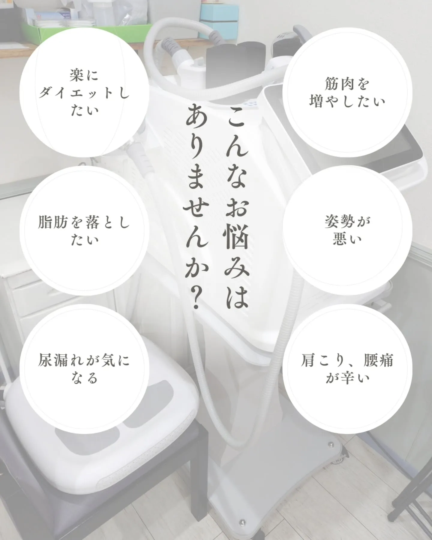 筋肉増強×脂肪細胞減少